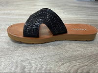 Calypso Slide